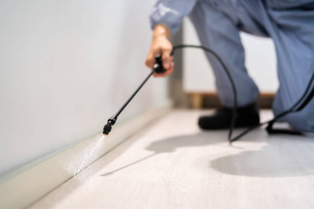 Professional exterminator conducting IPM assessment in North Great River