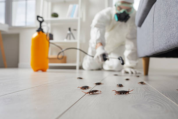 Commercial Kitchen Cockroach Control in North Great River